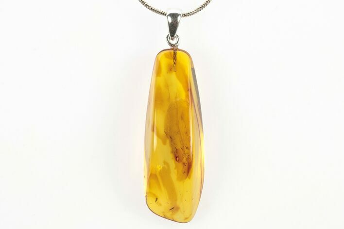 Polished Baltic Amber Pendant (Necklace) - Contains Flies! #273450